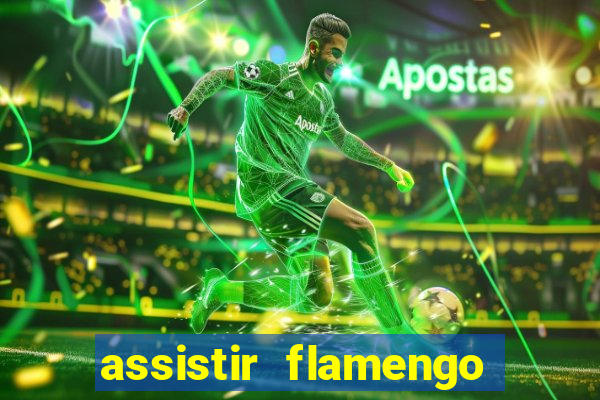 assistir flamengo futebol play hd